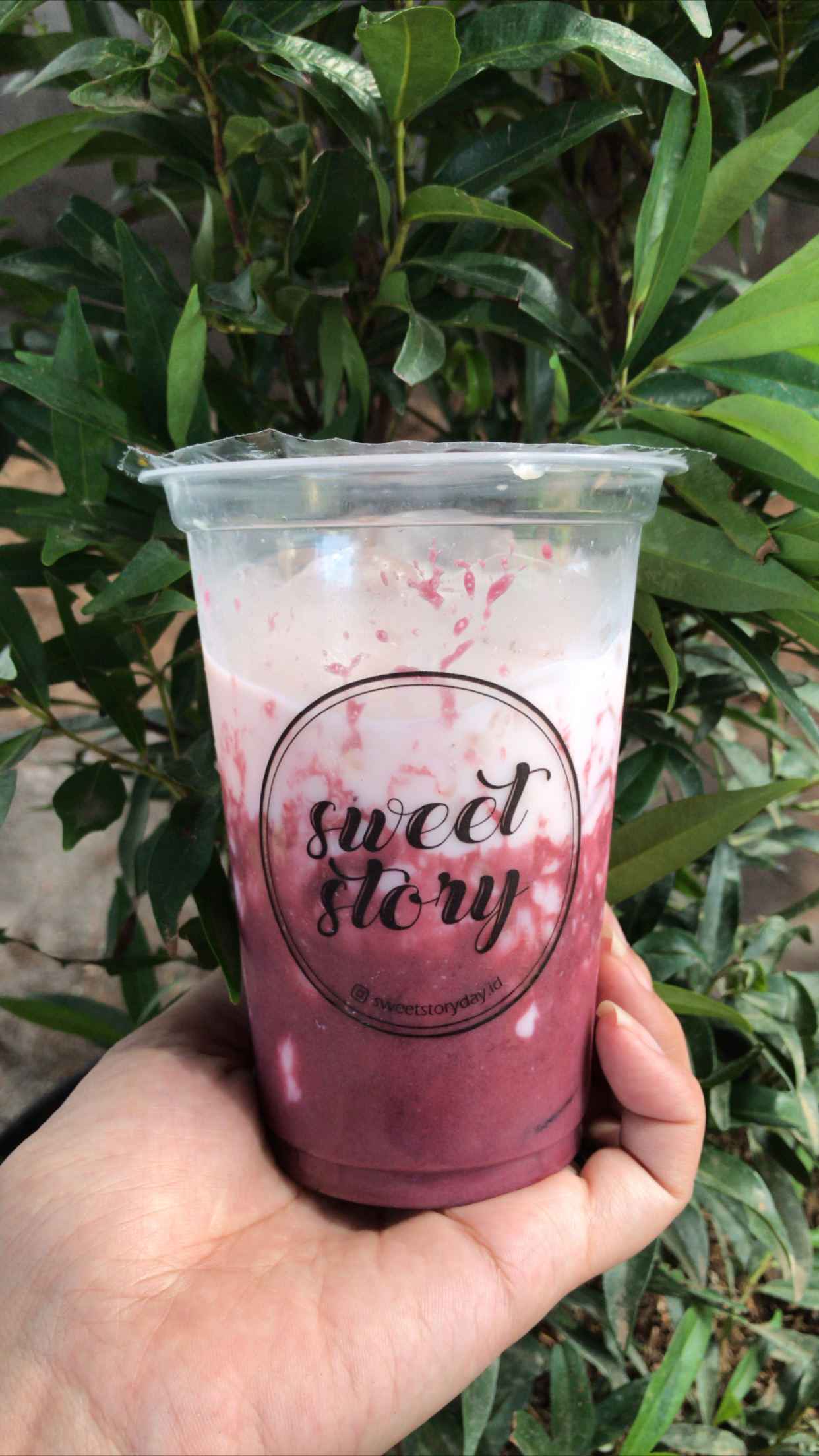 Taro Milk Ice SS